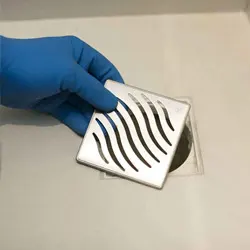 Dedetizadora e Desentupidora Lago Sul!